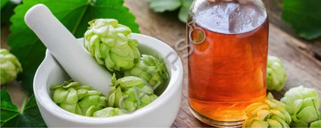Hops Absolute Oil Benefits